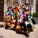 Sigma Sanctuary Discord server icon