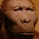 ROCKSAM AFRO choco $ DTBafnann... Discord Server Icon