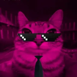 Kislyy Paws~ — мониторинг Discord сервера, статистика и рейтинг