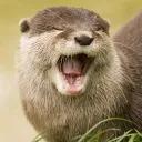 Otter Tag