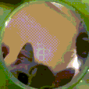 ⭒very silly pwople stuck in a basement Discord server icon