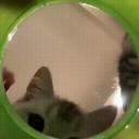 ⭒very silly pwople stuck in a basement