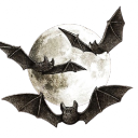 𝕭𝖑𝖔𝖔𝖉𝖛𝖊𝖎𝖑 𝕳𝖔𝖙𝖊𝖑 ²¹⁺ ݁ᛪ༙ Discord Server