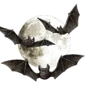 𝕭𝖑𝖔𝖔𝖉𝖛𝖊𝖎𝖑 𝕳𝖔𝖙𝖊𝖑 ²¹⁺ ݁ᛪ༙ Discord Server