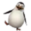 pingwiny.fun