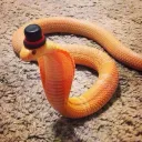 Geo Snake Charmers