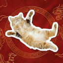 Discovery icon for Sky Community Discord server