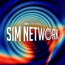 Simulator Network