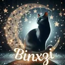 🖤Binxzi