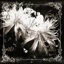 𝔗𝔥𝔢 𝔪𝔬𝔯𝔤𝔲𝔢 ༒'s icon