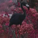 Eepy Token Discord server icon