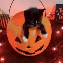 👻 𝐄𝐓𝐄𝐑𝐍𝐀𝐋 🎃