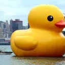 The Friend Zone's icon