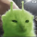 r/AlienCatGlorp