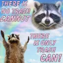 The trash pandas