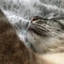 Gold's Dungeon Discord Server Icon