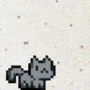 CATTO LANDO