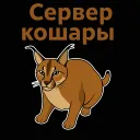 Сервер Кошары