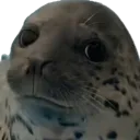 seals do code