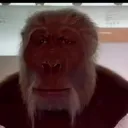 Pov you are a person