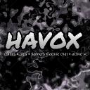 havox ~ emojis • active chat • active vc