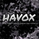 havox ~ emojis • active chat • active vc Discord server icon