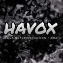 havox ~ emojis • active chat • active vc