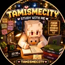 Tamismecity