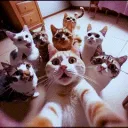 DUKI GANG Discord Server Icon