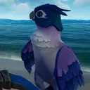 𝐏𝐚𝐫𝐫𝐨𝐭 𝐬𝐞𝐫𝐯𝐞𝐫 🦜