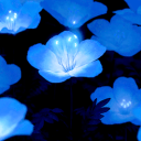 ★     ꒦꒷    ᴡɪꜱᴛᴇʀɪᴀ  ✧