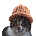 Catwifhat icon