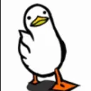 Patinho dev