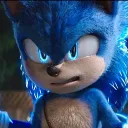 They're SONIC RINGS