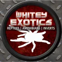 Whitey Exotics