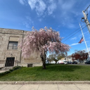 the interdimensional babies (e kittens) Discord server icon