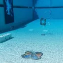SWAG'S SWIM CLASS