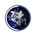 SSLxVRFC Discord Server Icon