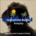 🎄 | Springfield Border Roleplay [ER:LC]