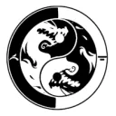 幻影忍者tokyogo|LNG|