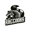 Raccoons | Nature League