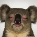 happinesss community