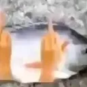 Fish Pond