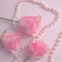 ༻⁂𝒦𝒶𝒾’𝓈 ℒℴ𝓋ℯ𝓁𝓎 𝒟𝓇ℯ𝒶𝓂𝓈⁂༺ Discord server icon