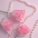 ༻⁂𝒦𝒶𝒾’𝓈 ℒℴ𝓋ℯ𝓁𝓎 𝒟𝓇ℯ𝒶𝓂𝓈⁂༺
