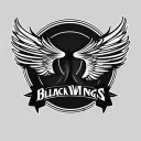 Black Wings Development Studio
