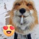 CoolKidz (With a Z) Discord Server