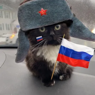 𝕙𝕠𝕝𝕚𝕔𝕙𝕖𝕜 — мониторинг Discord сервера, статистика и рейтинг