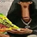 Konyr23's server