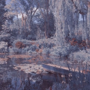 N⋆i⋆c⋆o⋆s⋆a⋆ B⋆l⋆o⋆g⋆s⋆ Discord server icon